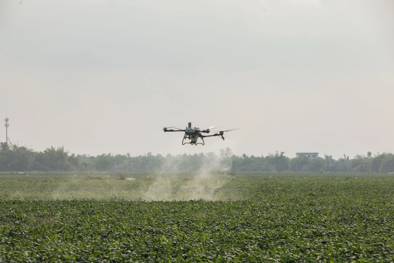 Drone agrícola pulverizando lavoura de soja